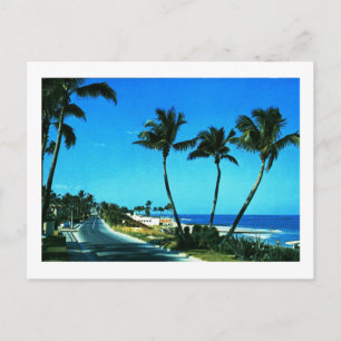 Ocean Boulevard, Palm Beach, Florida Vintage Postcard