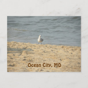 Ocean City, carte postale MD