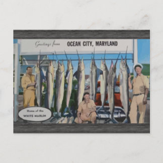 Ocean City, Maryland Home Of The White Marlin, Vin Postcard
