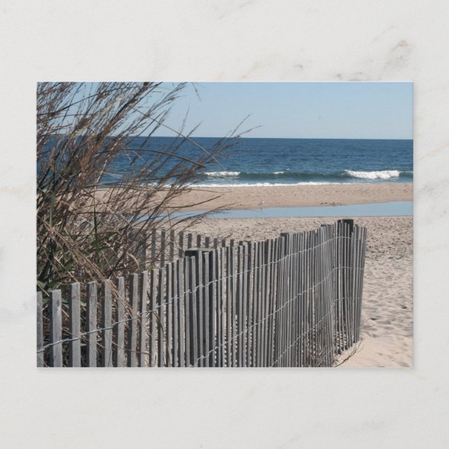 Ocean City Postcard (Front)