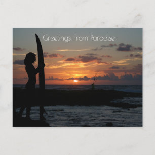 Ocean Cliff Sunset  Postcard