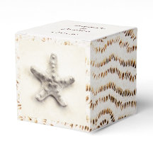 Ocean coastal starfish