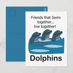 Ocean Dolphins Marine Mammal Friendship Postcard