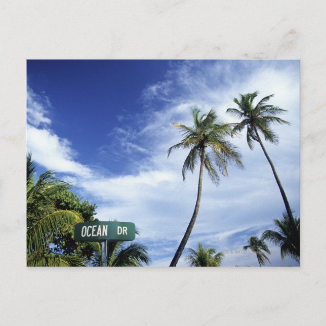 Ocean Drive' road sign, South Beach, Miami, Florid Postcard (Front)