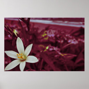 Ocean flower landscape art poster
