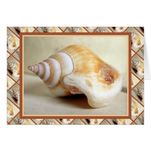 Ocean Jewelry (Front Horizontal)