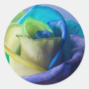 Ocean Rose Seal