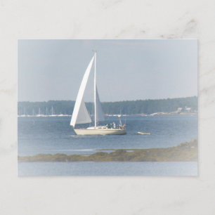 Ocean Sail Postcard