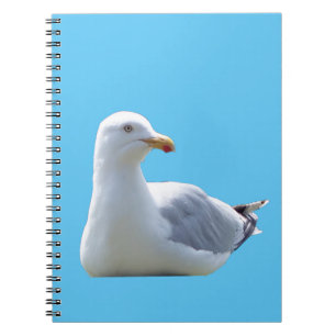 Ocean Seagulls Flying Bird Lover Wildlife Notebook