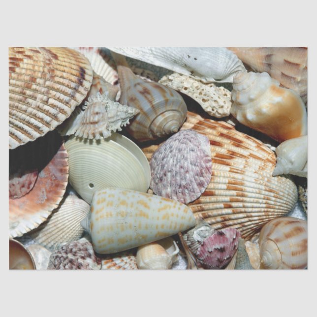 Ocean Seashells Decoupage Tissue Paper (Front)
