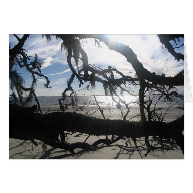 Ocean Sunset (Front Horizontal)