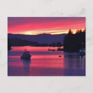 Ocean Sunset with Boats in Harbour Postcard