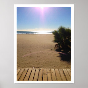 Ocean View, Beach, Palm Tree, Boardwalk Poster