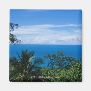 Ocean view magnet