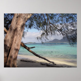 Ocean View Poster