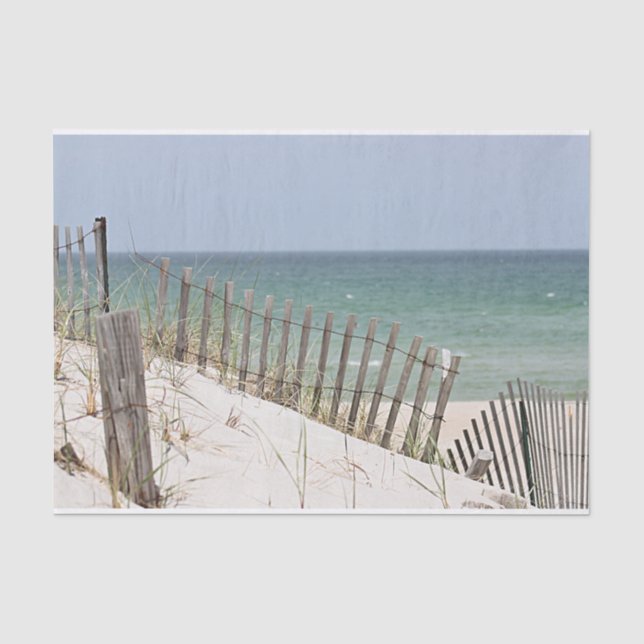 Ocean view through the beach fence tissue paper (Front)