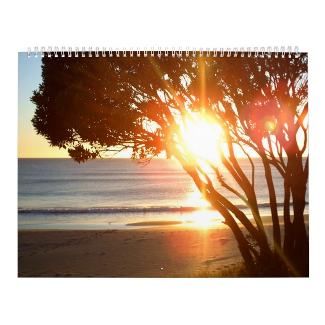 Ocean Wall Calendar (Cover)