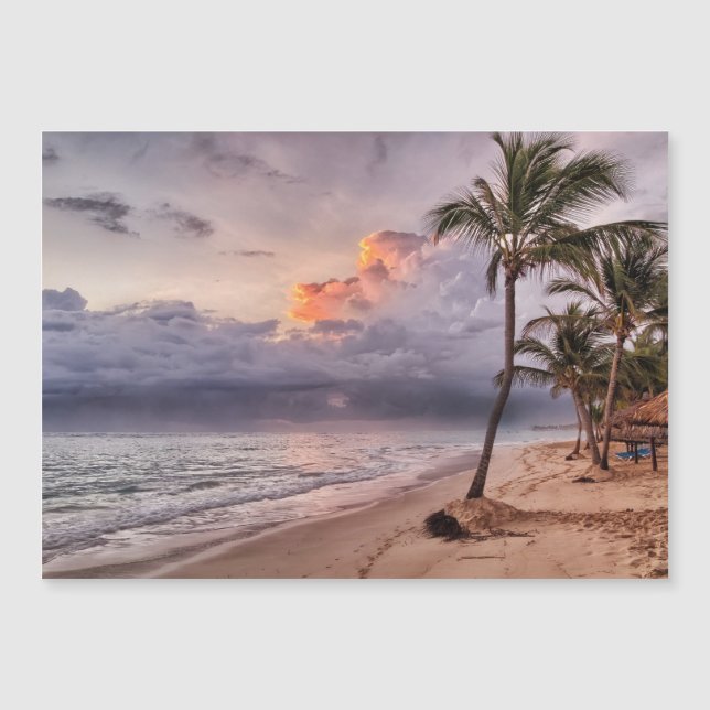 Ocean Waves Sandy Beach Sunset (Front)