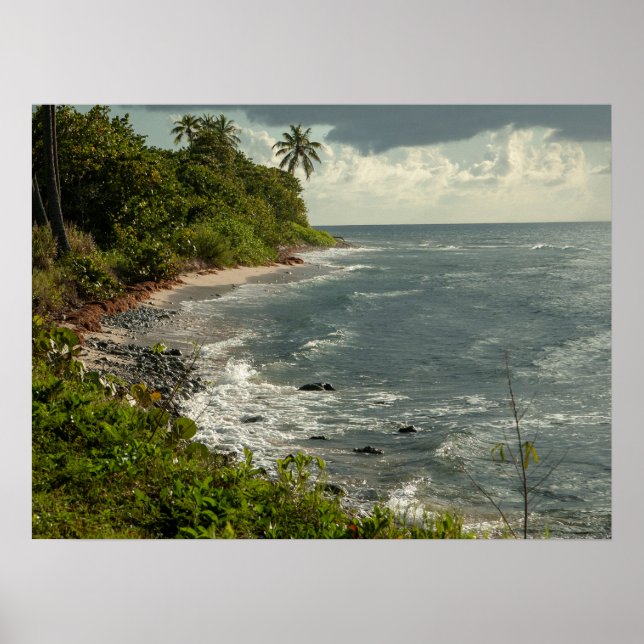 Ocean Waves Sea Caribbean USVI Beach  Poster (Front)