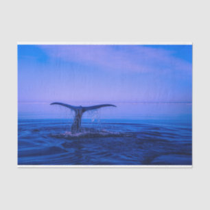 Ocean Whale Decoupage Tissue Paper