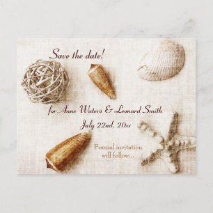 ocean whisper - elegant seashells save the date announcement postcard