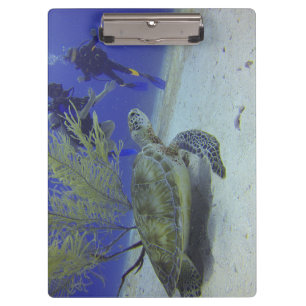 Ocean Wildlife Clipboard with Sea Turtle Image