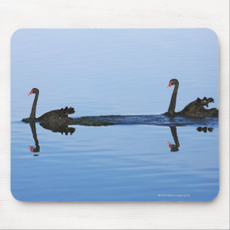 Oceania, New Zealand, South island, Hokitika - Mouse Pad