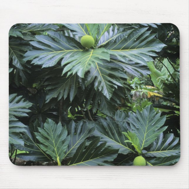 Oceania, South Pacific, French Polynesia, Mouse Pad (Front)