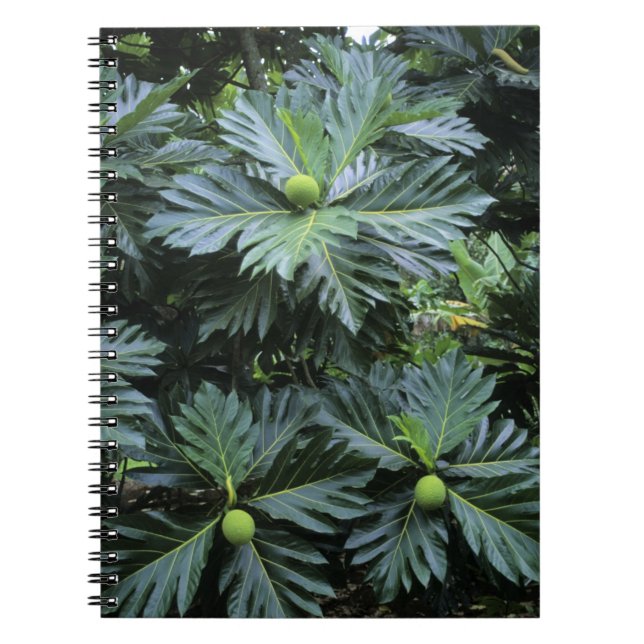 Oceania, South Pacific, French Polynesia, Notebook (Front)