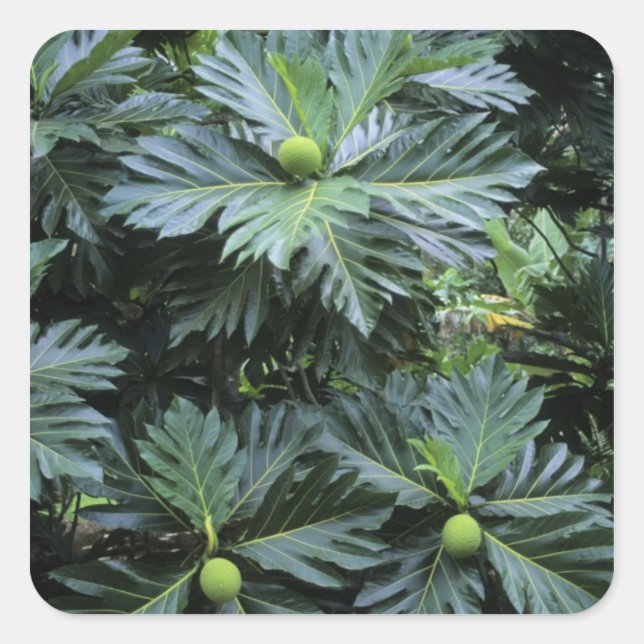 Oceania, South Pacific, French Polynesia, Square Sticker (Front)