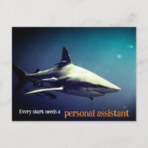 Oceanic blacktip shark underwater holiday postcard