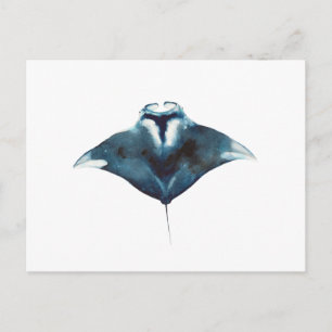 Oceanic Manta Ray Postcard