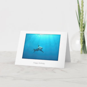 Oceanic Whitetip Shark Birthday Card