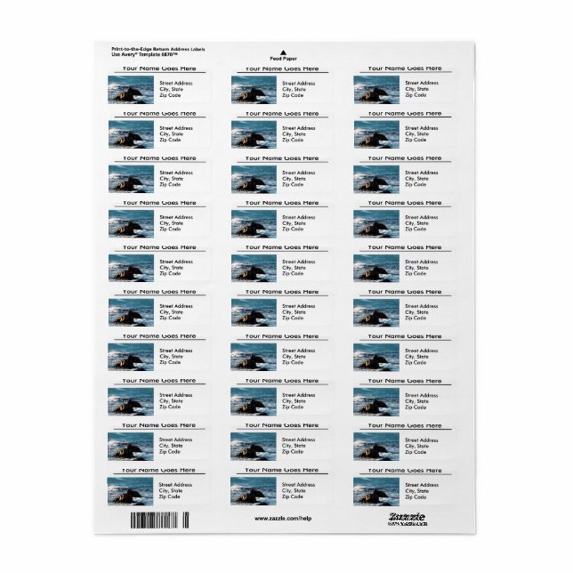 Oceano Beach California with Rocks Address Labels (Full Sheet)