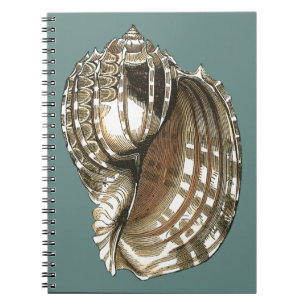 Ocean's Jewel Notebook