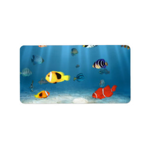 Oceans of Fish Label