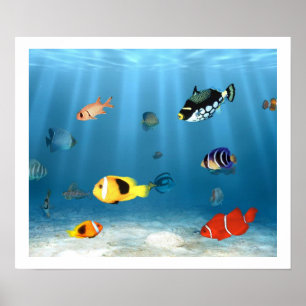 Oceans Of Fish Poster