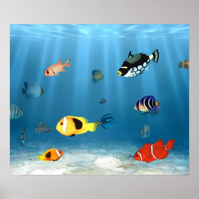 Oceans Of Fish Poster (Front)