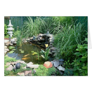 Ocean's Pond