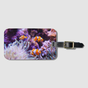 Ocellaris Clownfish   Amphiprion Ocellaris Luggage Tag