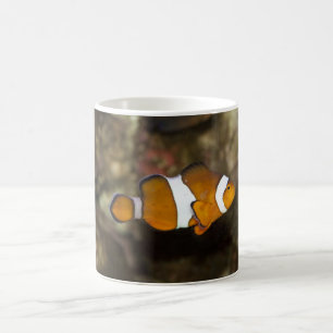 Ocellaris Clownfish Coffee Mug