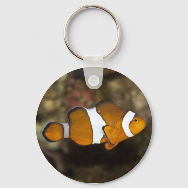 Ocellaris Clownfish Keychain (Front)