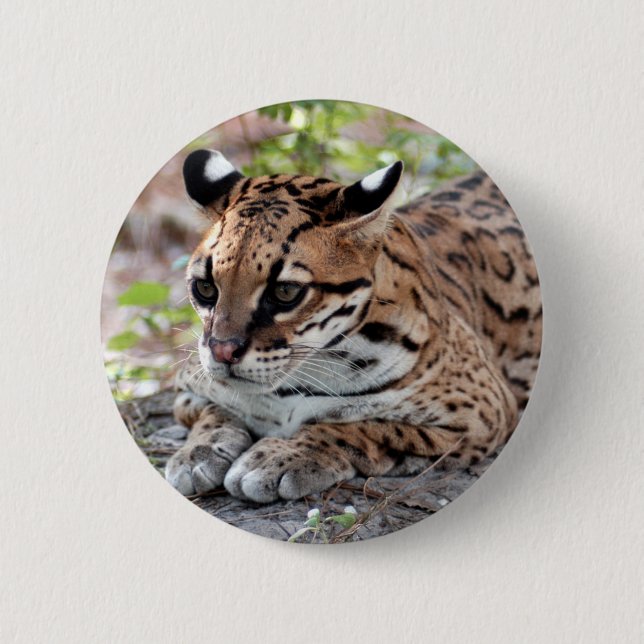 Ocelot 02 9x9 2 inch round button (Front)