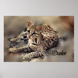 Ocelot art poster