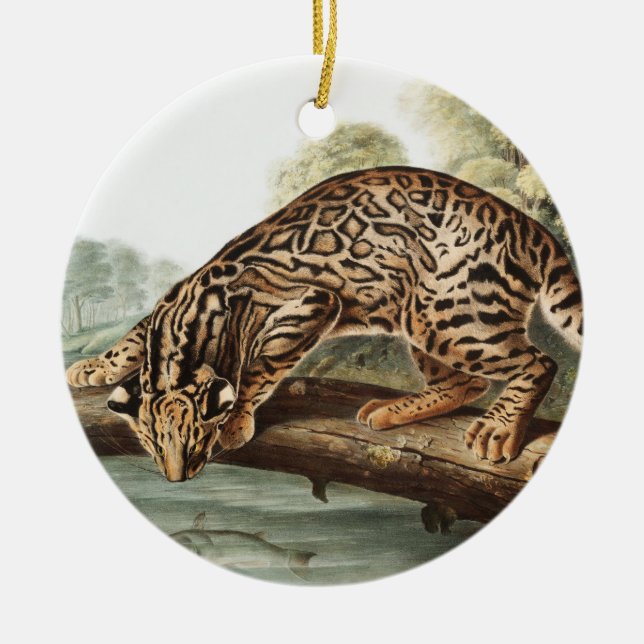 Ocelot, Leopard Cat (Felis pardalis) Illustration Ceramic Ornament (Front)
