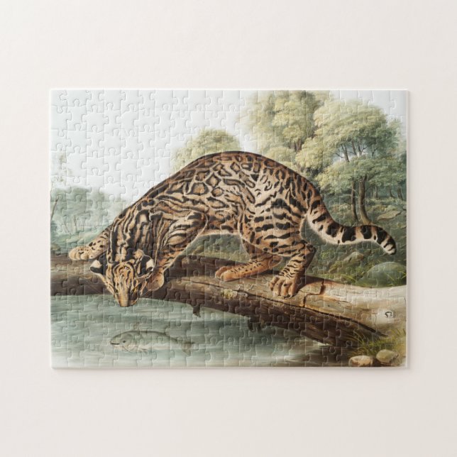 Ocelot, Leopard Cat (Felis pardalis) Illustration Jigsaw Puzzle (Horizontal)