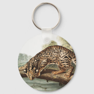Ocelot, Leopard Cat (Felis pardalis) Illustration Keychain