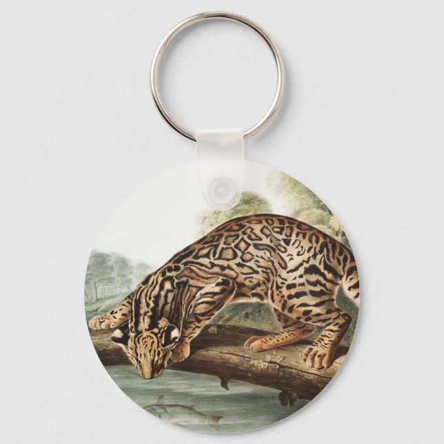 Ocelot, Leopard Cat (Felis pardalis) Illustration Keychain (Front)