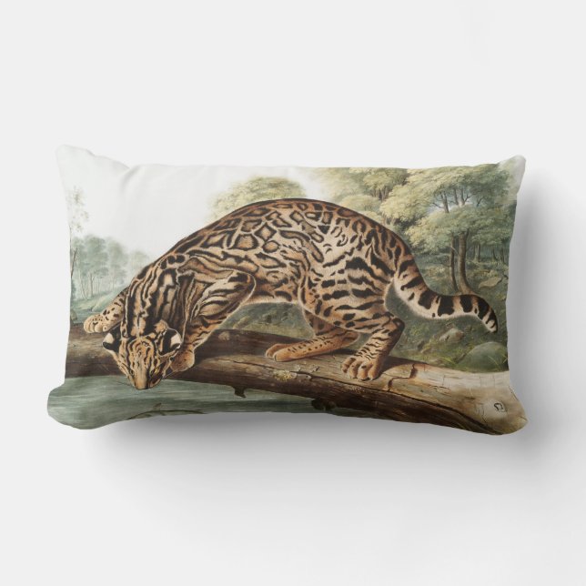 Ocelot, Leopard Cat (Felis pardalis) Illustration Lumbar Pillow (Front)