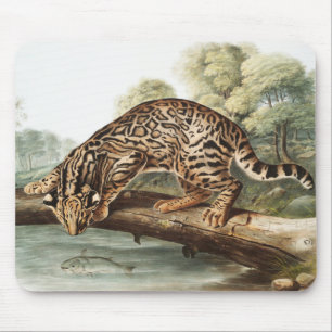 Ocelot, Leopard Cat (Felis pardalis) Illustration Mouse Pad